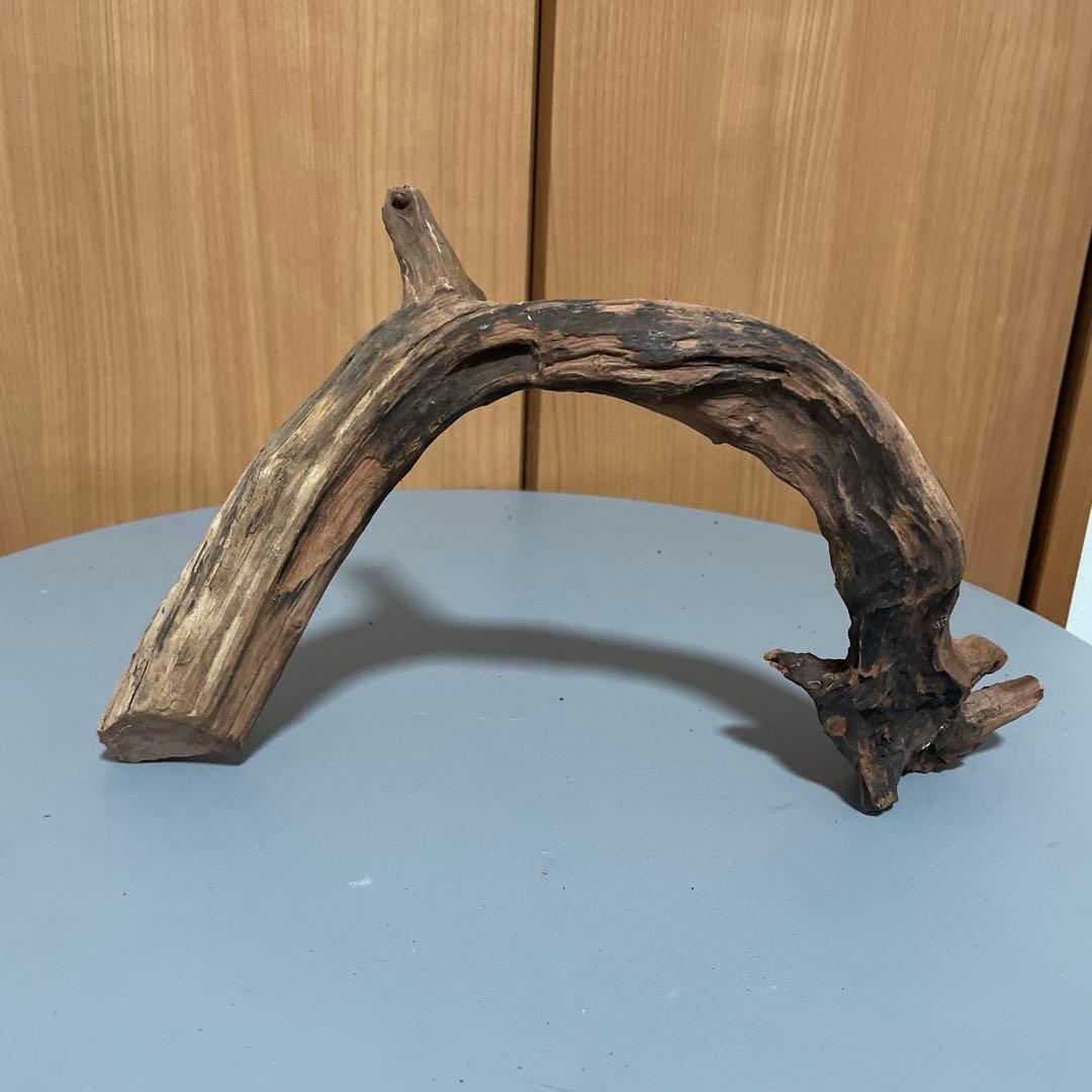 一点物 アーチ型流木3本セット