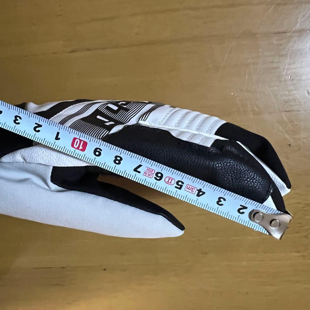 【新品タグ付】　スキー グローブ　　ロイッシュ