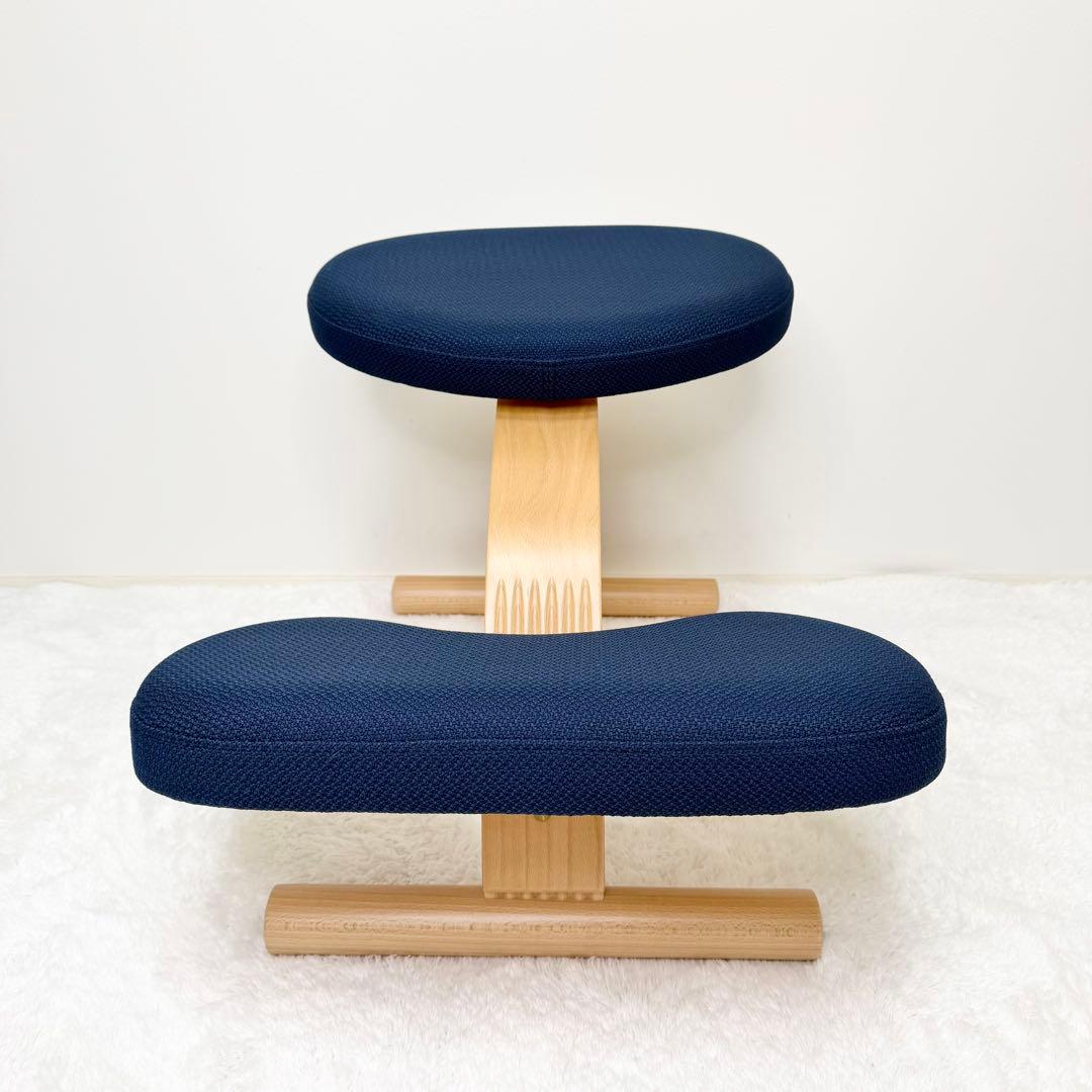 未使用級 balans lab バランスイージー ショートフレーム カバー付き