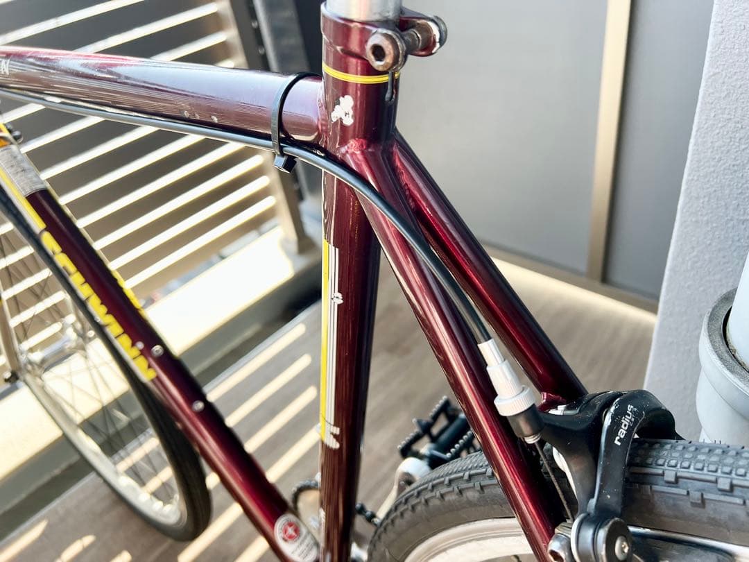 *SCHWINN* MADISON 2010 54size 送料込み