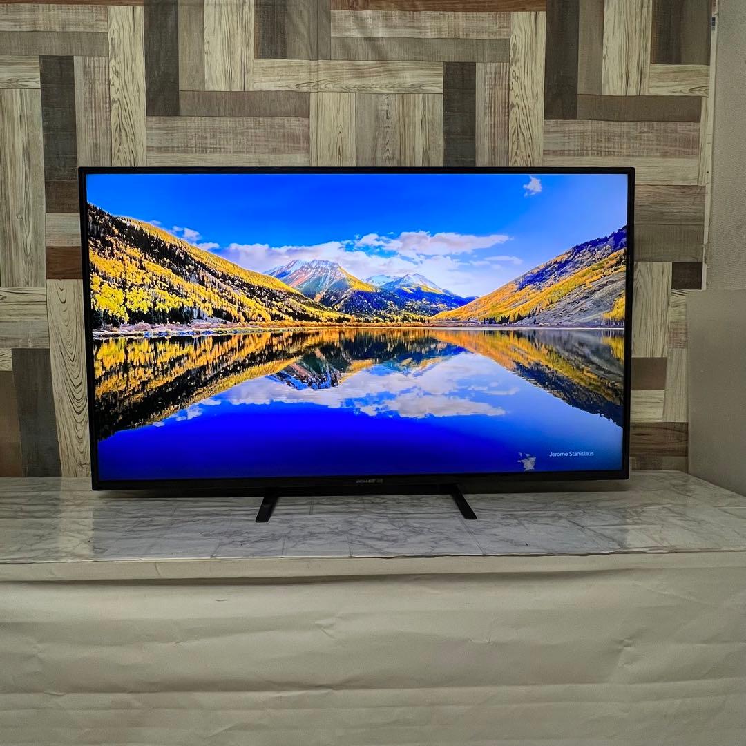 即日受渡❣️全国送料込ジャパンネクスト50型4K液晶モニターブルーライト軽減