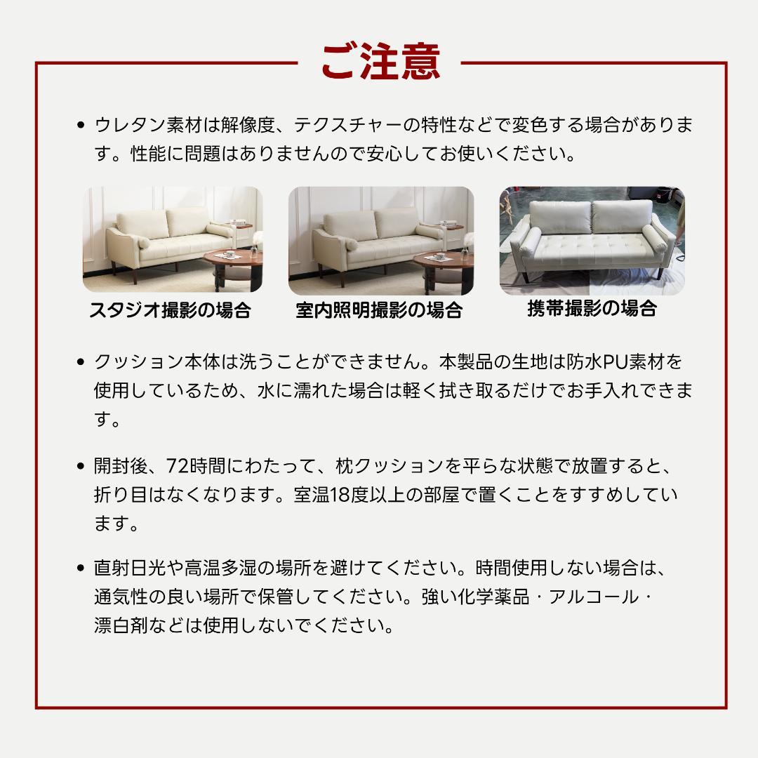 ソアラ　2人掛け　肘掛け付き　枕付き　取り外し可能な脚　WHITE