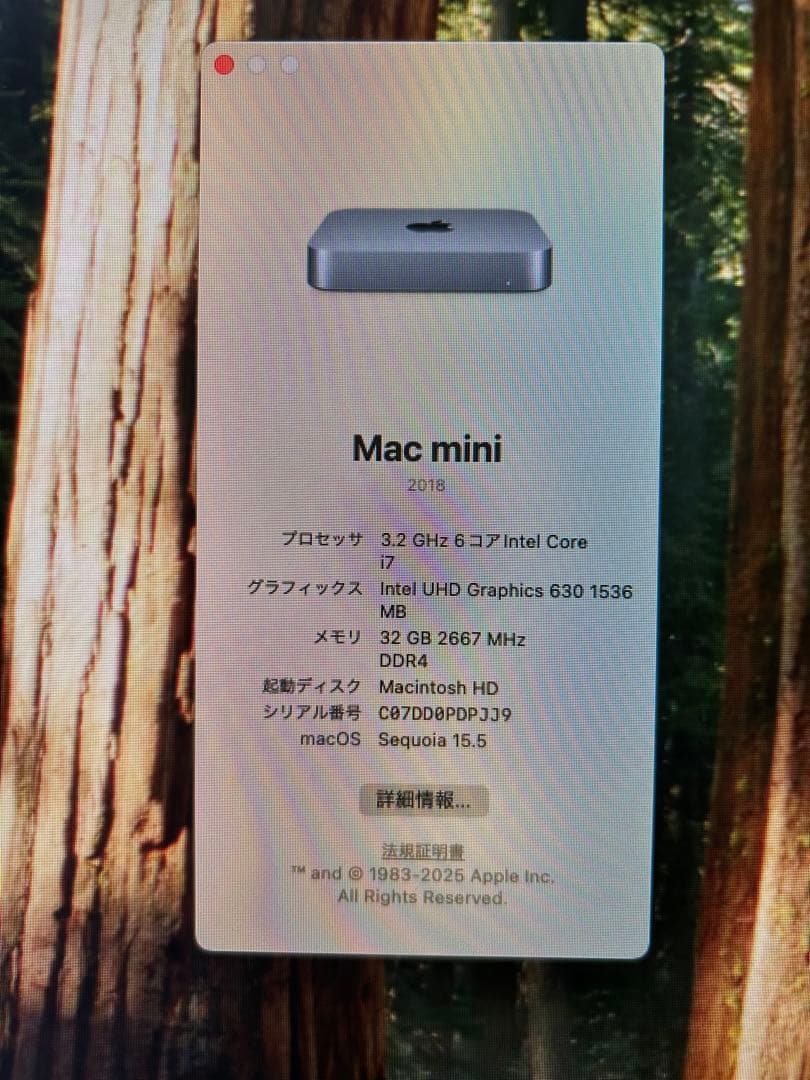 美品　Mac mini 2018 i7 3.2GHz/32GB/SSD512GB