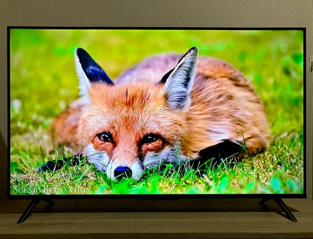 【美品】TCL 液晶テレビ 43V型 2023年製 GoogleスマートTV