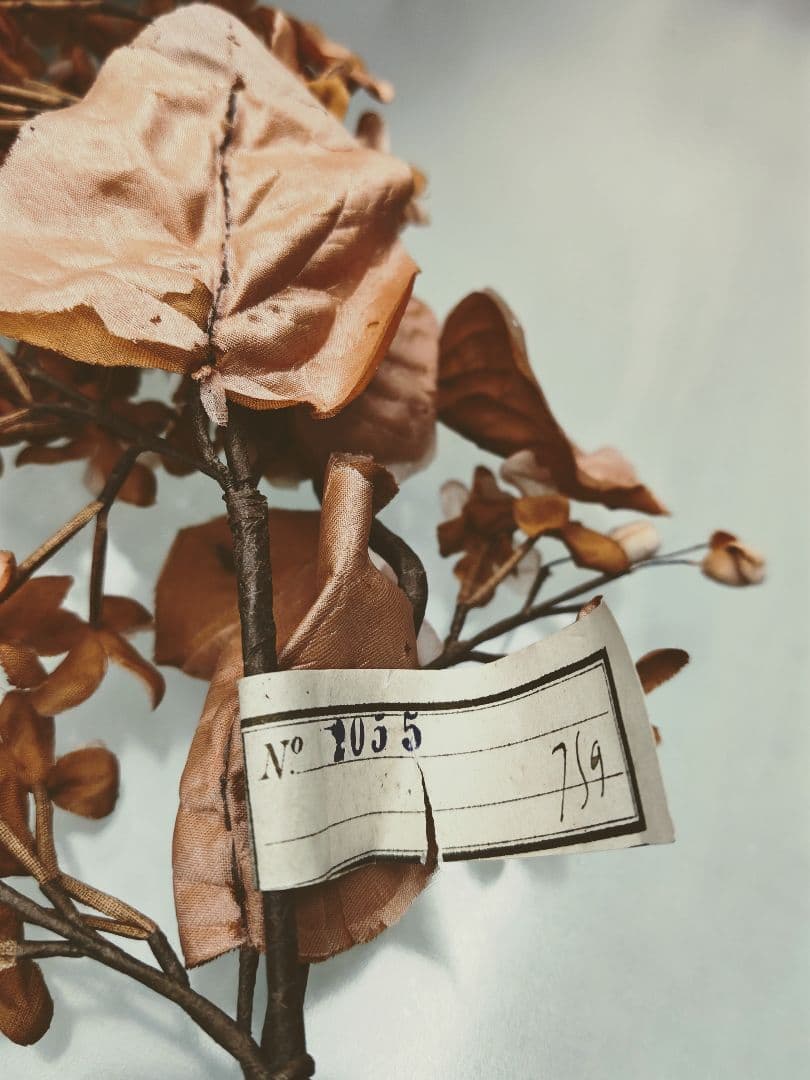 フランスアンティーク✨️大きな布花 ２点＋オマケ付き♡