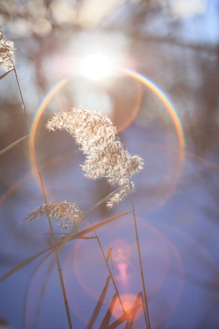 Super-Takumar 55mm F1.8 後期型 S/N：2094122