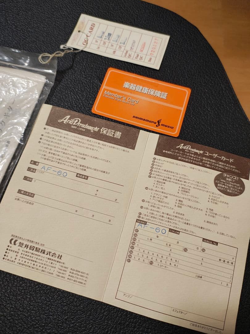 オール単板/Aria AF60/ハードケース