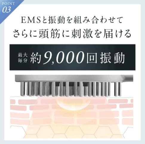 NIPLUX EMS LIFT BRUSH リフトブラシ