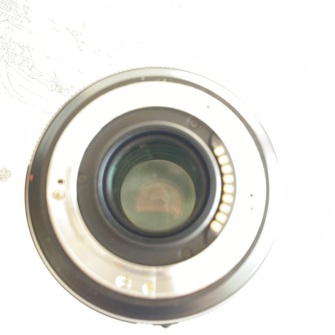 パナソニックLUMIXDMC-L1