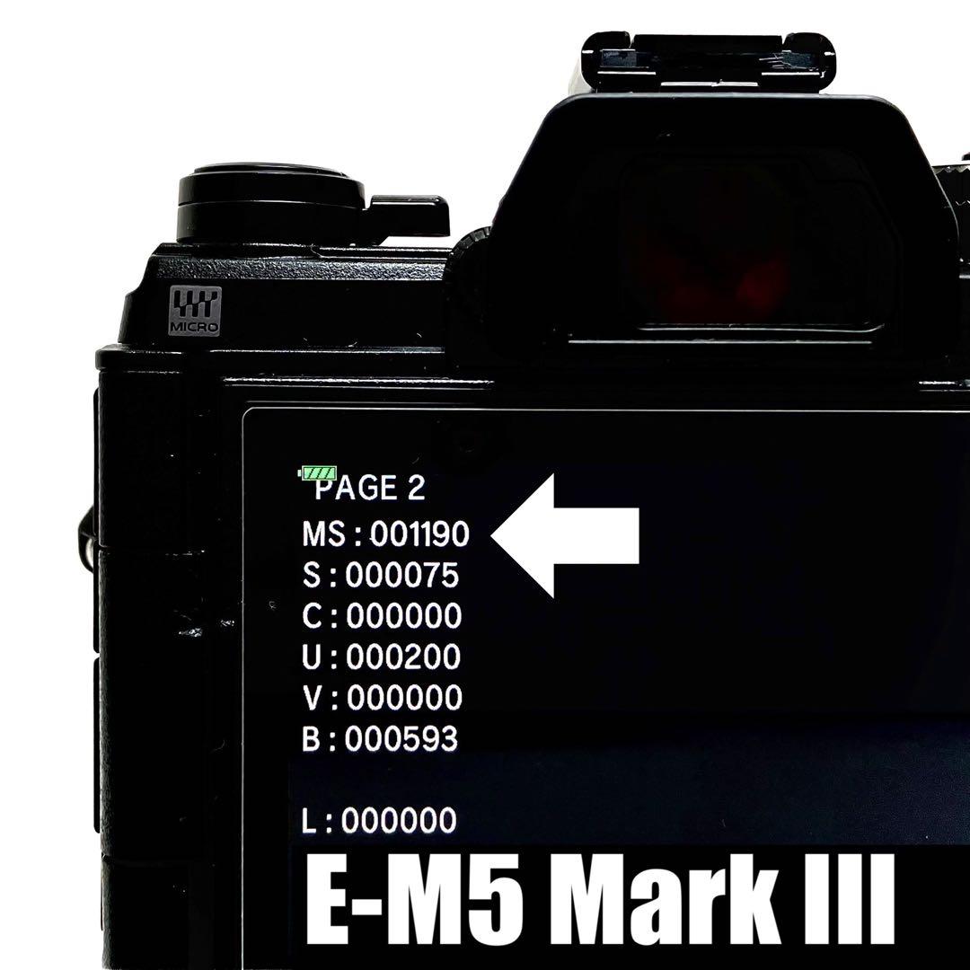 OM-D E-M5 Mark III マーク3 OLYMPUS 黒 0616