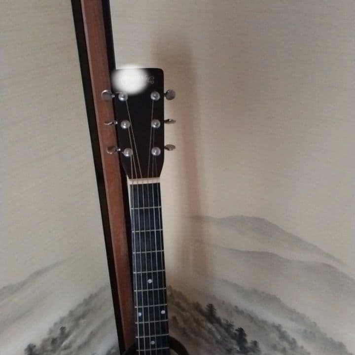 アコースティックギター　カスタム　D-18　ハードケース付き