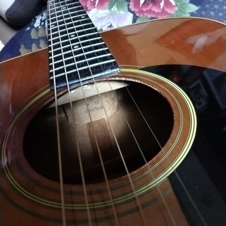 アコースティックギター　カスタム　D-18　ハードケース付き