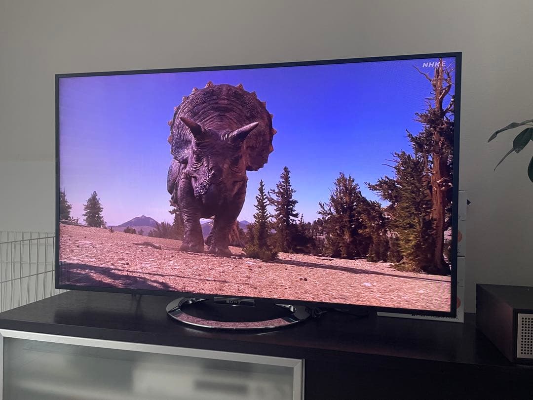 SONY BRAVIA 55インチ フルハイビジョン液晶テレビ