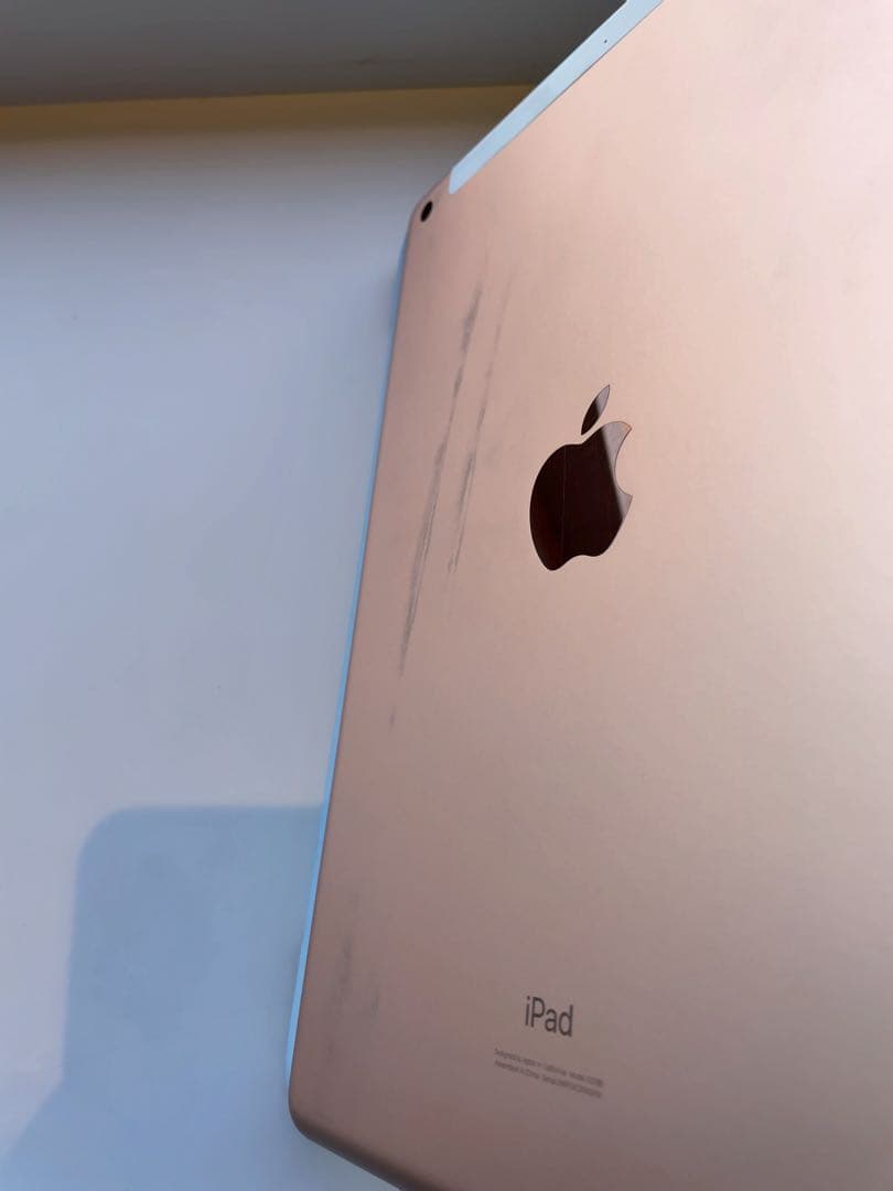 第７世代 32GB 10.2インチ iPad本体 カバー付 Cellular？