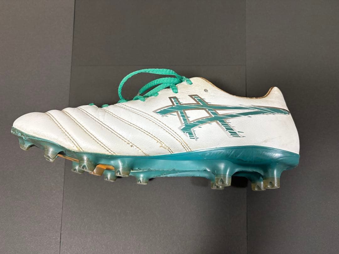 【値下げ】DS LIGHT X-FLY PRO 3 ゼログライドシューレース付