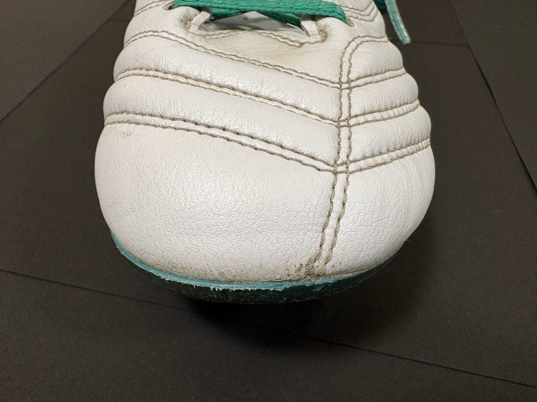 【値下げ】DS LIGHT X-FLY PRO 3 ゼログライドシューレース付