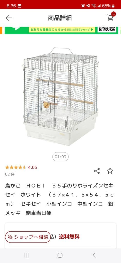 オカメインコ　セキセイインコ　小鳥　ケージ