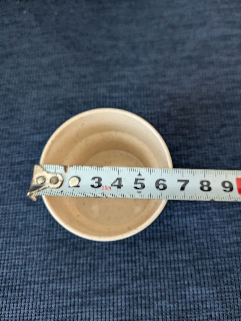 【SKIP】ペアランチボックスセット【レトロ】