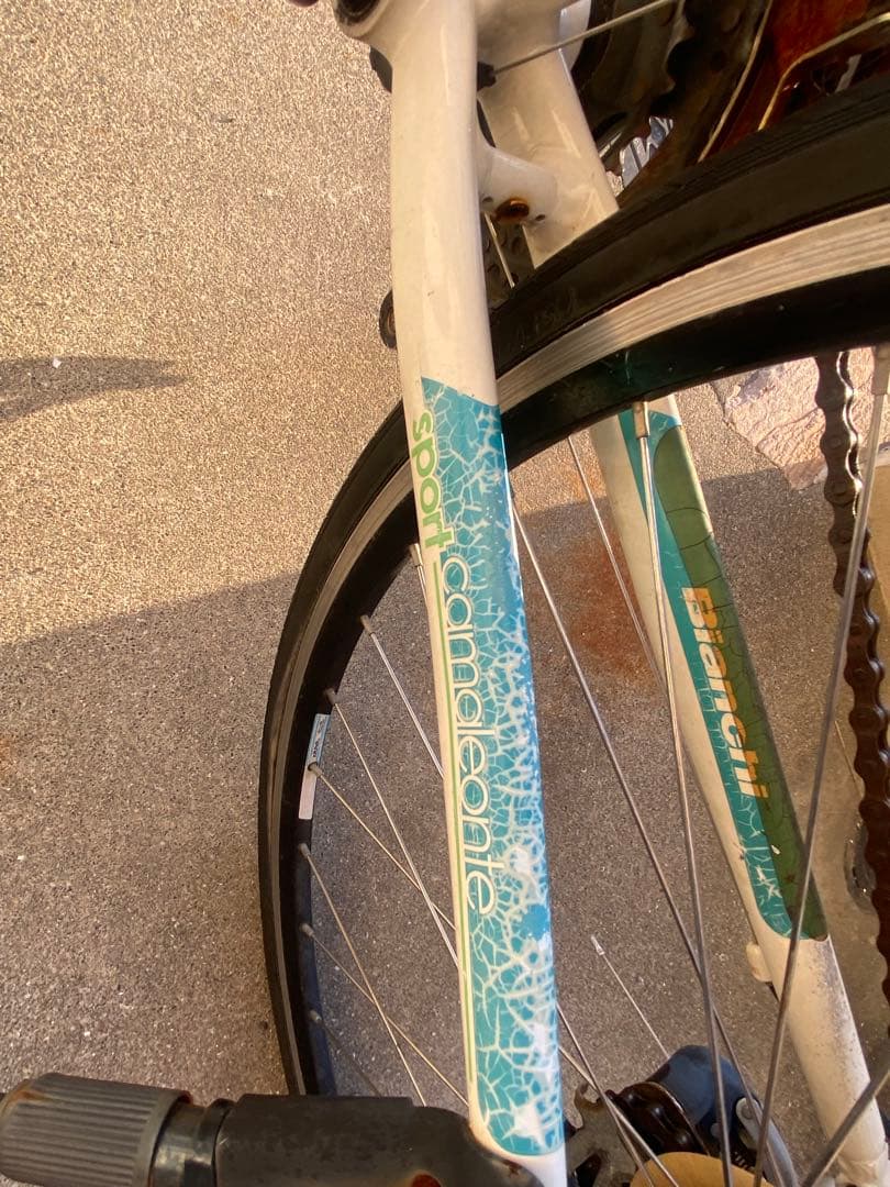 BIANCHI camaleonte sport due サイズ47 ビアンキ