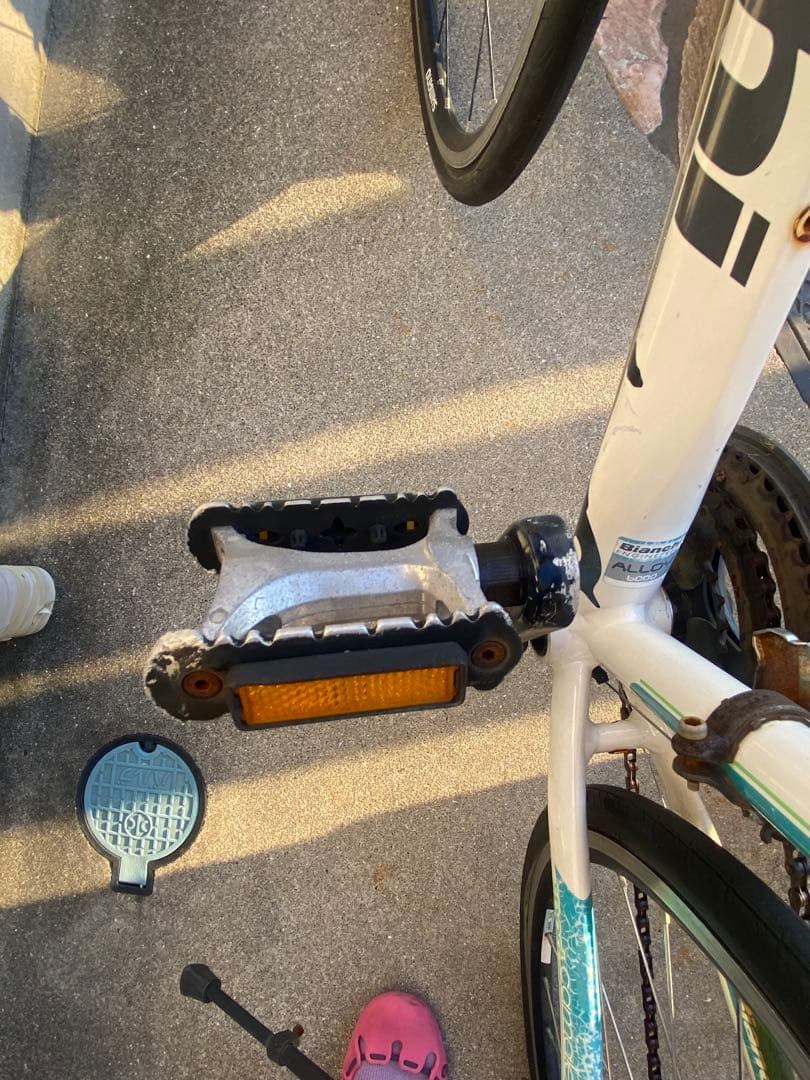 BIANCHI camaleonte sport due サイズ47 ビアンキ