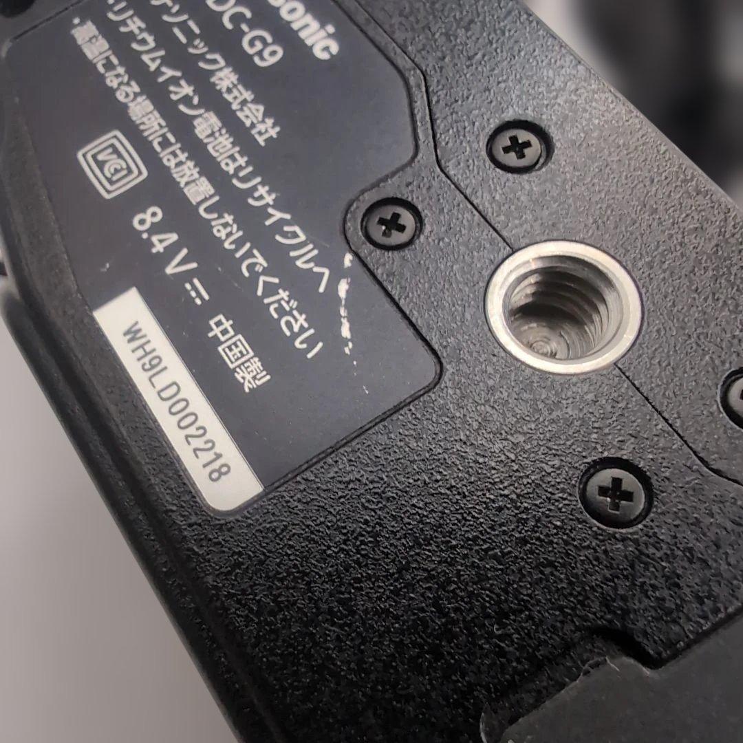 Panasonic LUMIX G9 PRO / V-Log L対応モデル