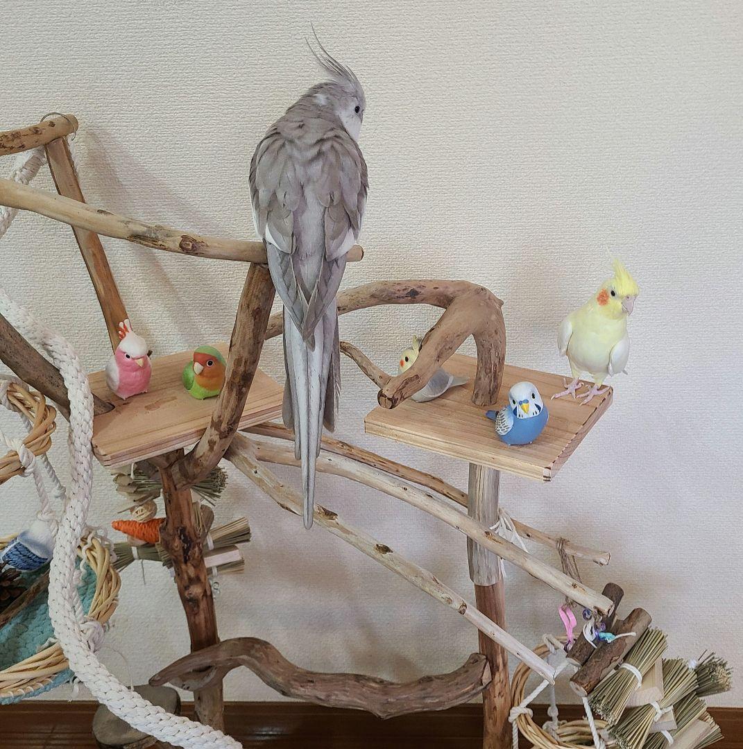 ① エリザ@プロフ必読‪☆おまとめで割引可能ページ　バードアスレチック