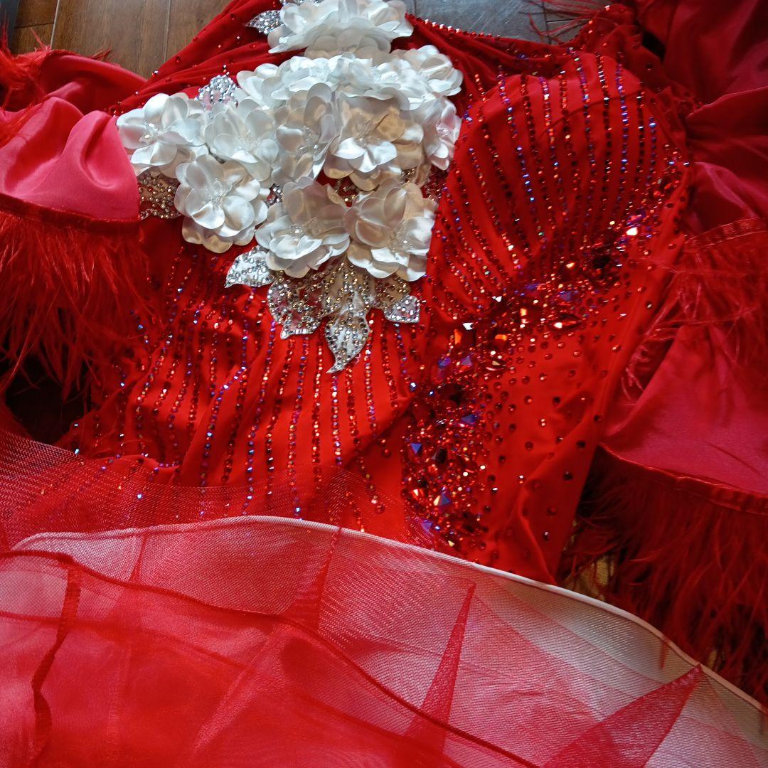 専用✨️豪華オーダー✨️社交ダンススタンダードドレス（Ｌサイズ）赤&白グラデー