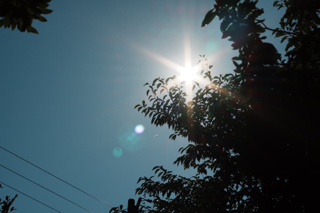 【極美品】Nikon New Nikkor 85mm F1.8 ニコン 773