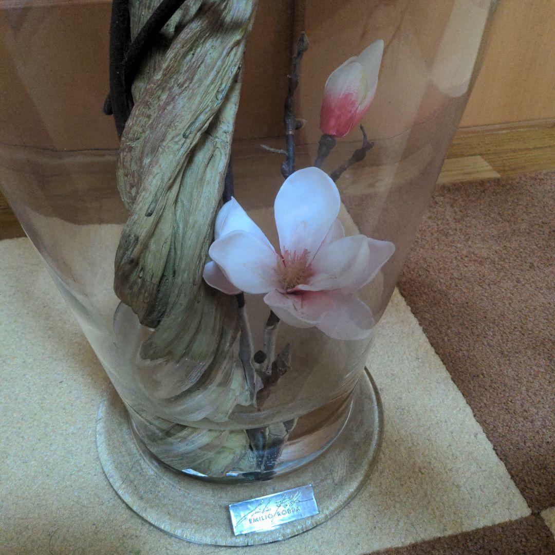 エミリオ・ロバ　モクレン　マグノリア