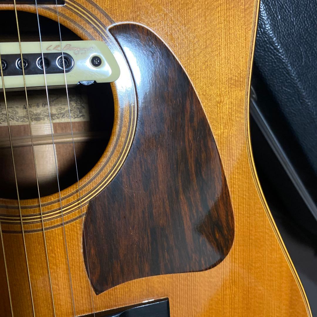 アコースティックギター　ibanez