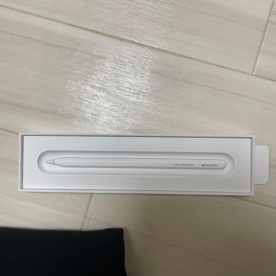 iPad pro 11インチ M4 【2024】 256GB Wi-Fi