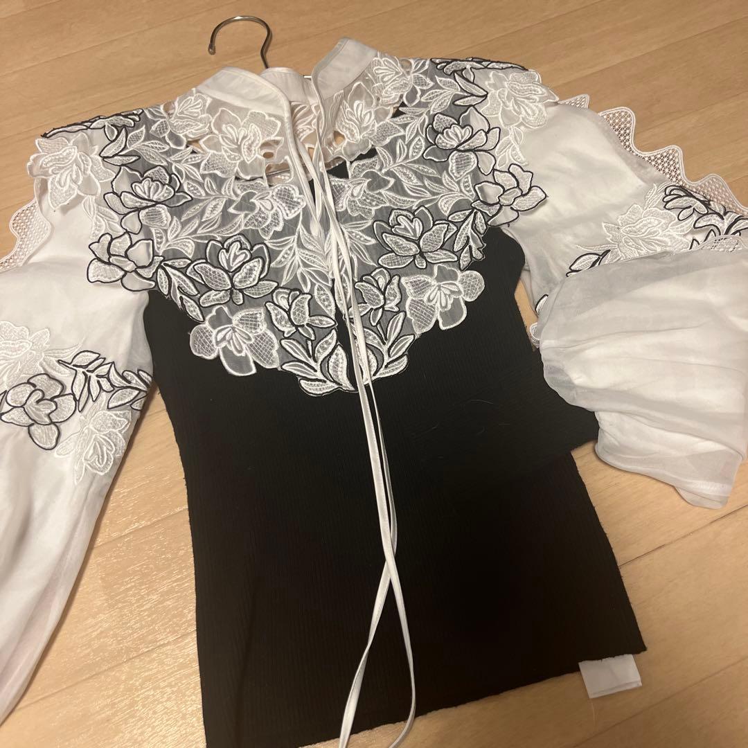 snidel スナイデル レースカラーニ ットプルオーバー