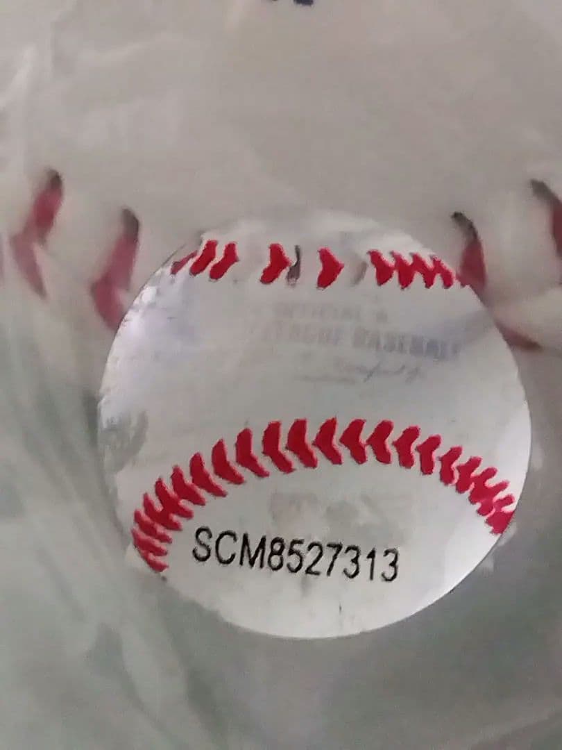 大谷翔平 メモリアルコレクション2024年50/50記念限定品(MLB公認)