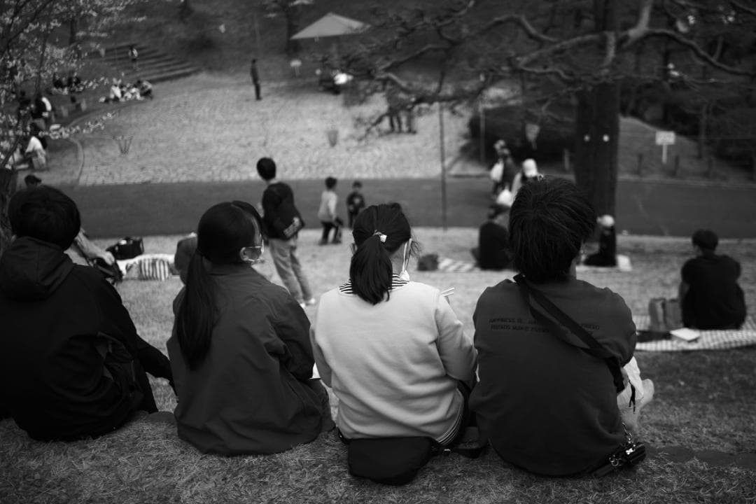 美品　LUMIX S 35mm F1.8 Lマウント