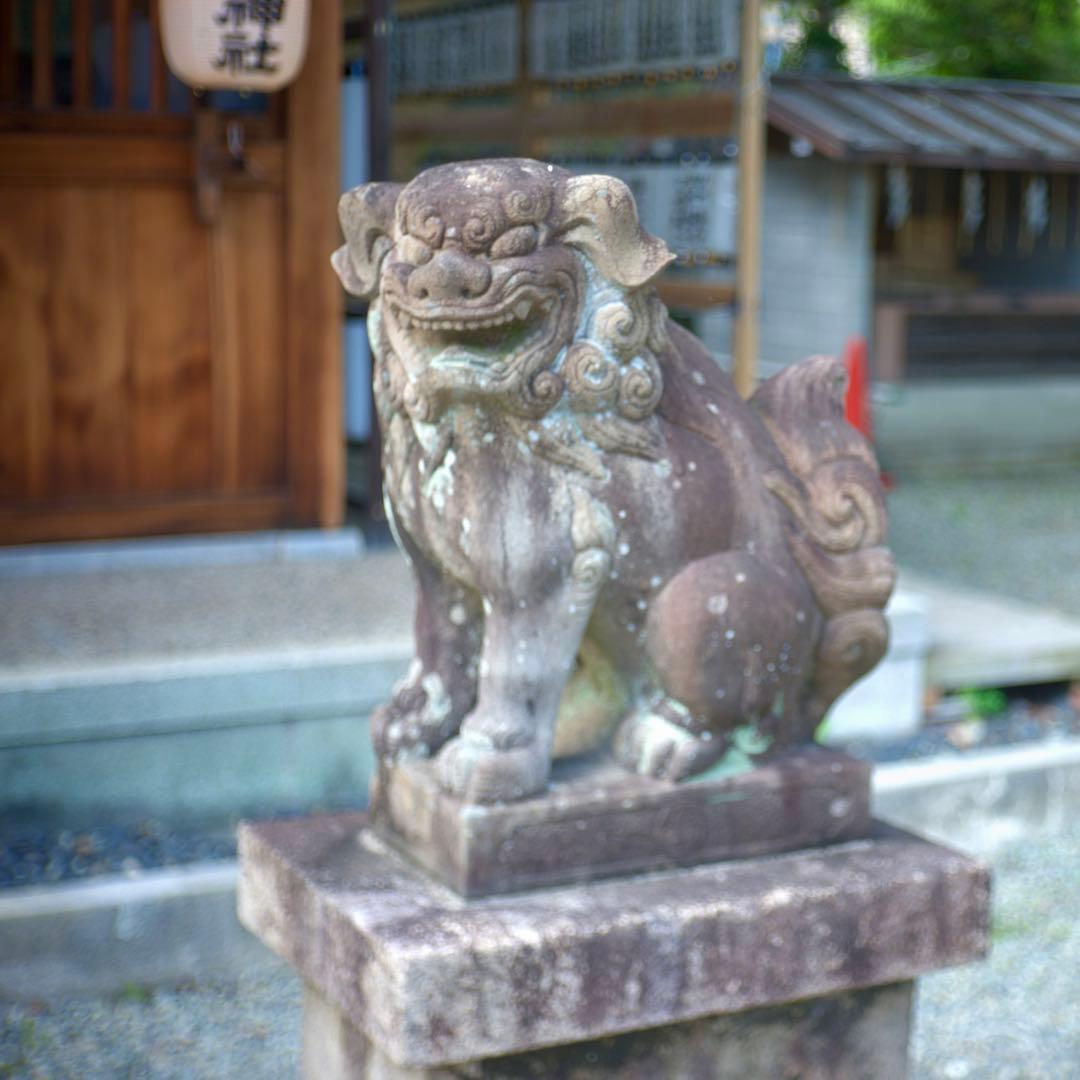 @フジ　FUJINON 45mm f1.9 銘レンズ　和製ズミクロン⁉️