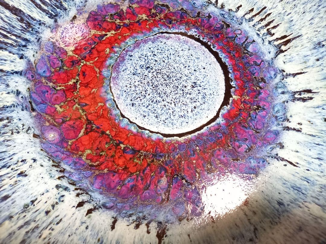 和物　和モダン　釉薬　希少　赤目　天目　陶器　大鉢　メダカ鉢　金魚鉢