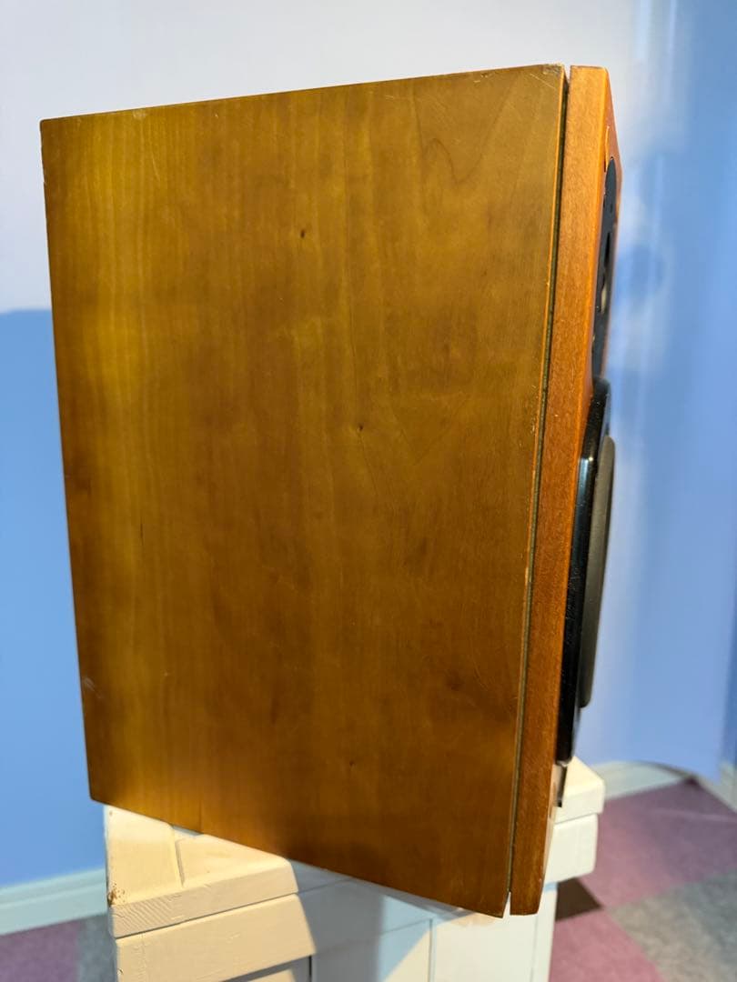 スピーカー・ウーファー zappamanTANNOY revolution r1