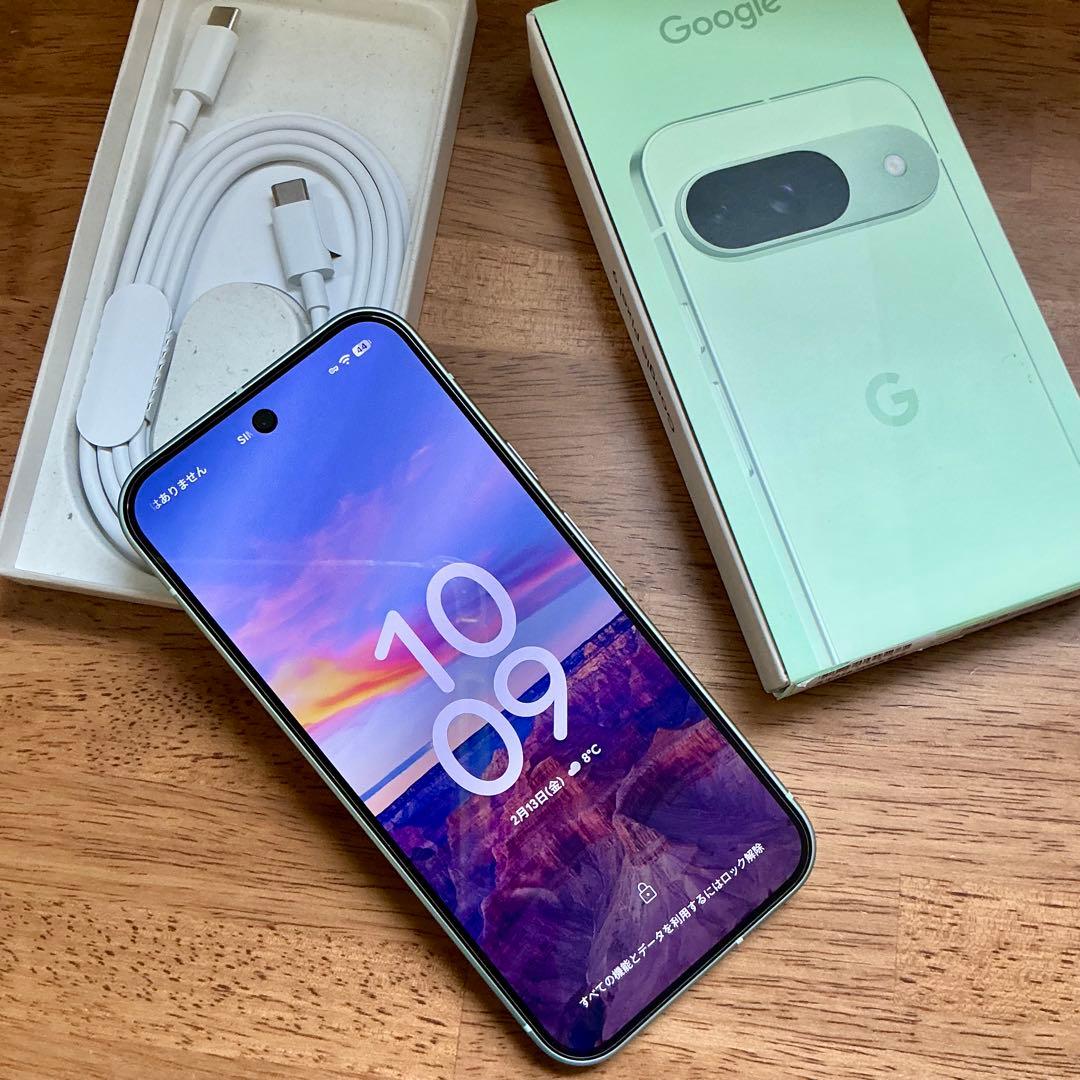 【外装液晶美品】Google Pixel 9 128GB ジャンク品　放電