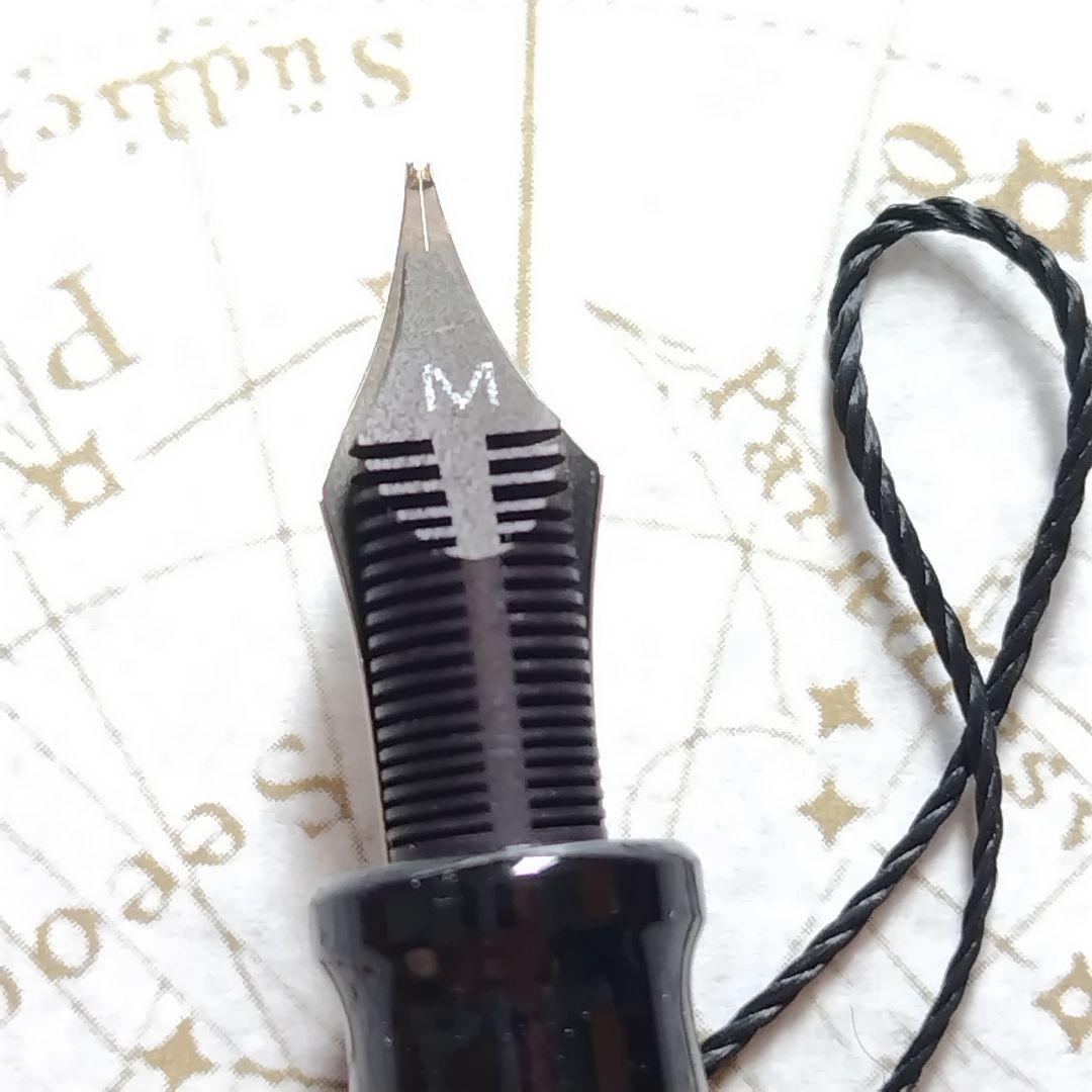 アウロラ エウロパ 万年筆 AURORA EUEOPA