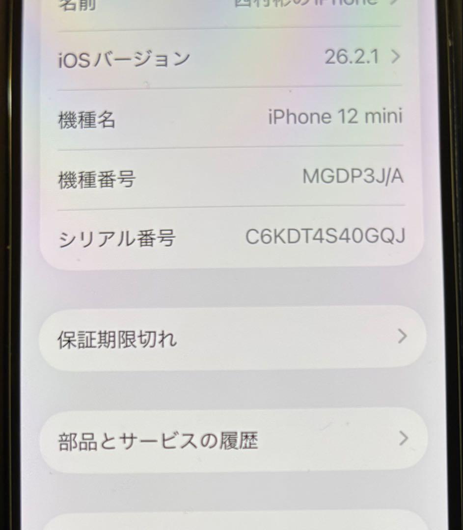 デ*ド様 Apple iPhone 12mini 青　希望があればケース付き