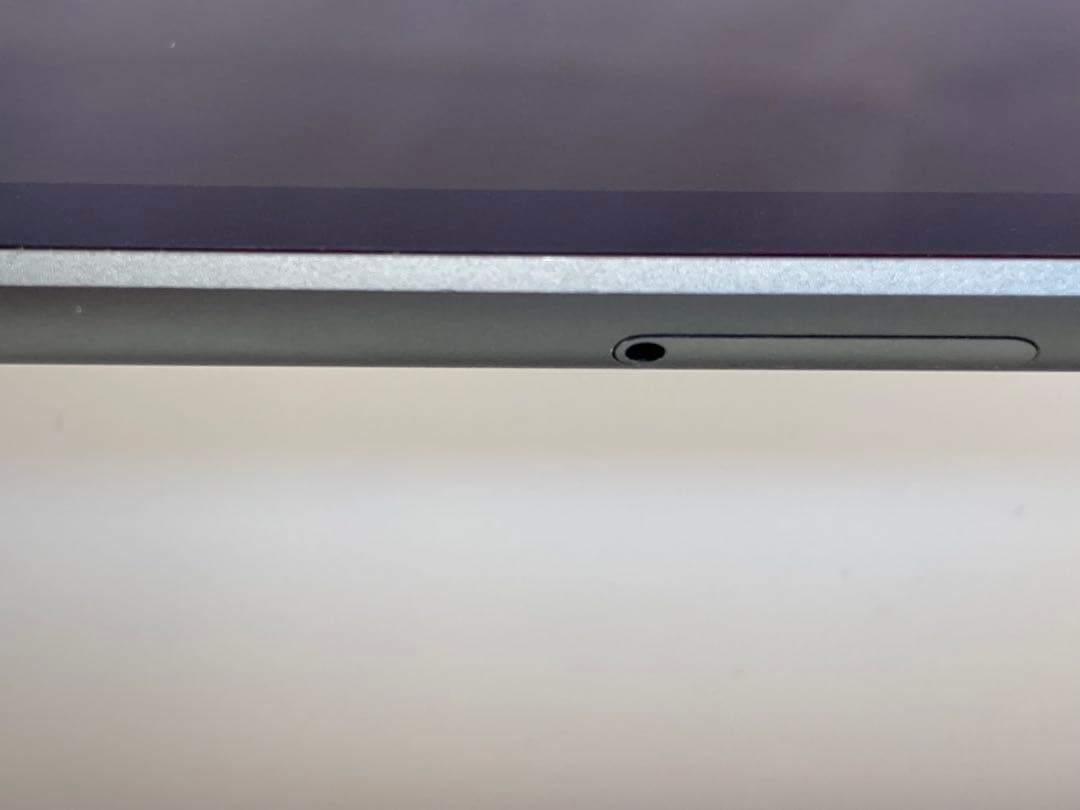 iPad mini 第5世代 256GB Wi-Fi ＋ Cellular