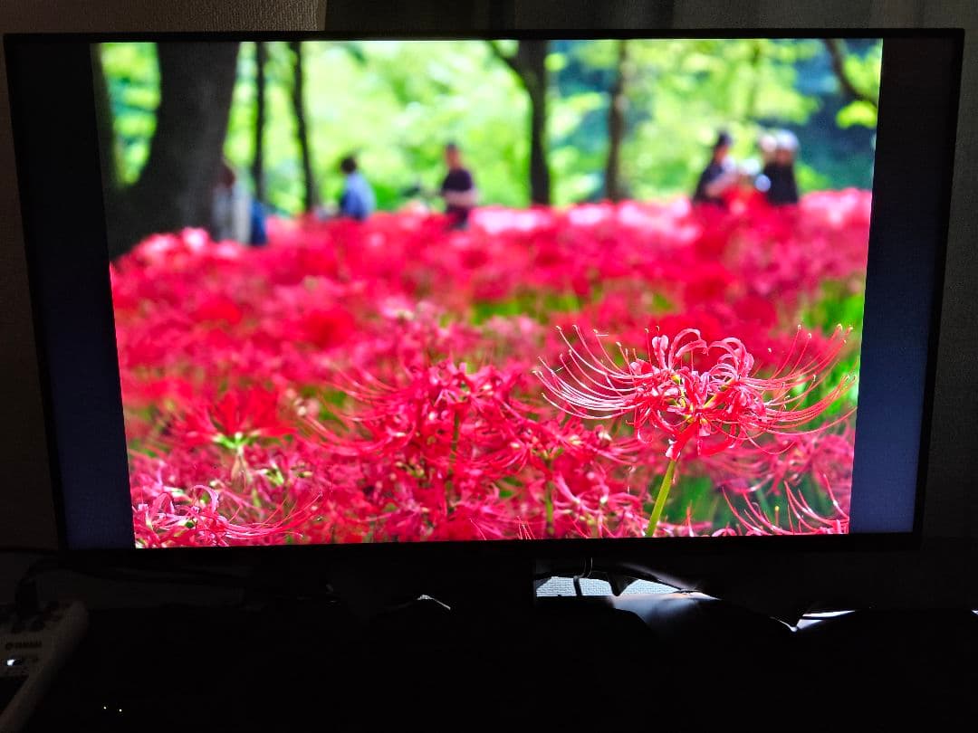 Dell g3223q 4k ディスプレイ 本体