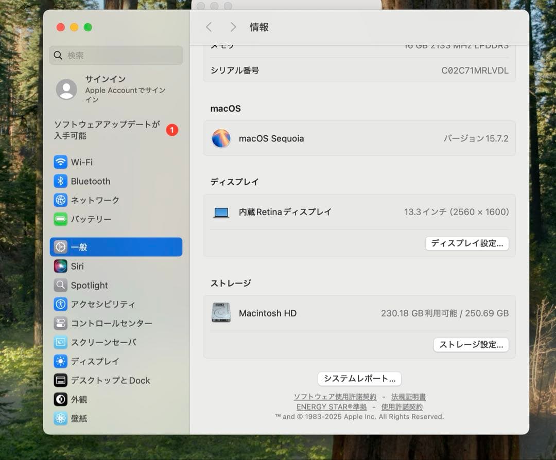 Apple MacBook Pro 13インチ 2019 i7/16GB/250