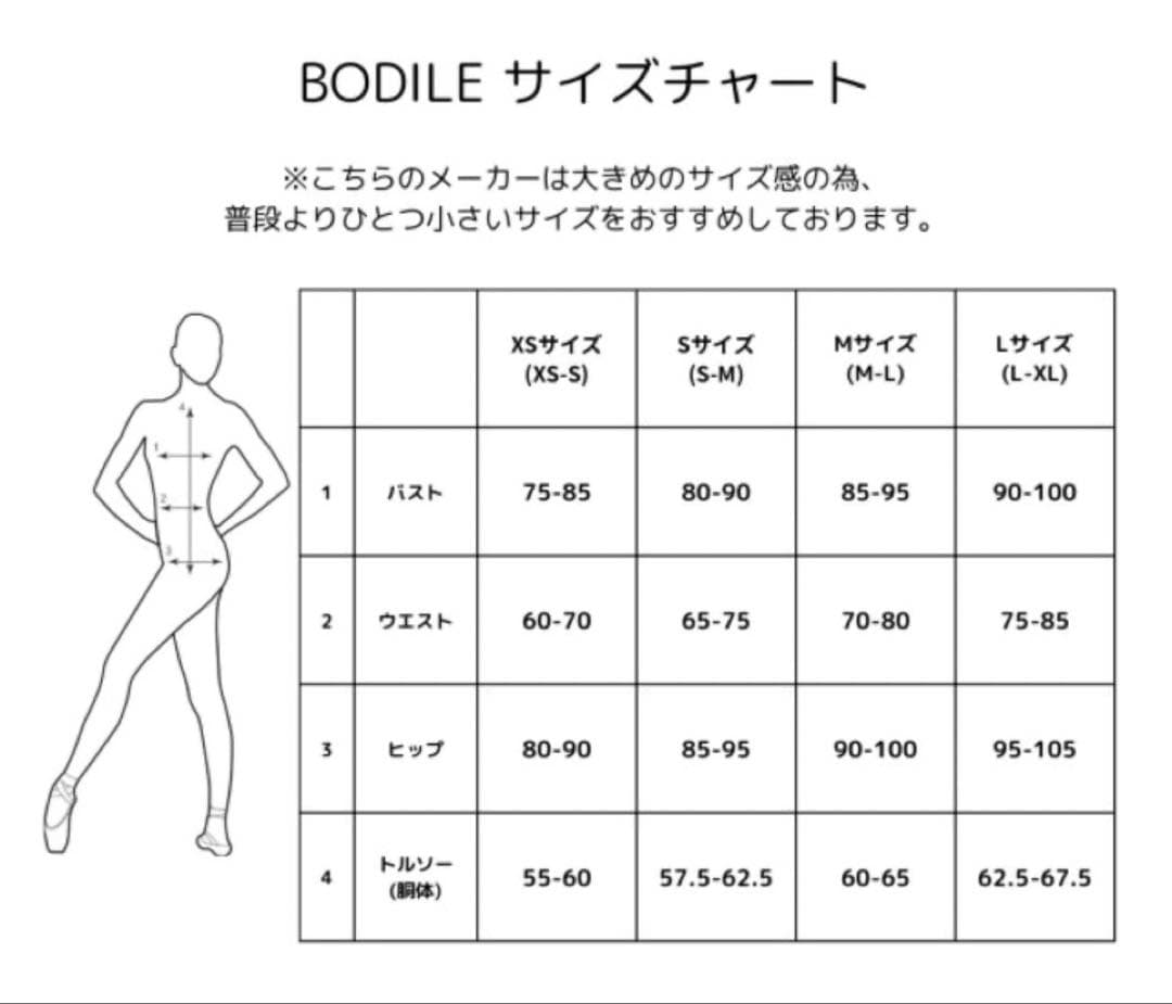 【新品】BODILE SASKIA レオタード 大人バレエ　Lサイズ