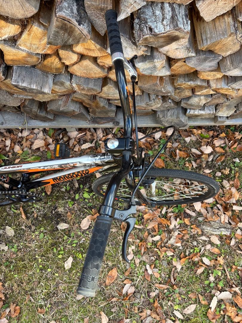 【山梨県引き渡し】マングース title junior 20インチ ブラック