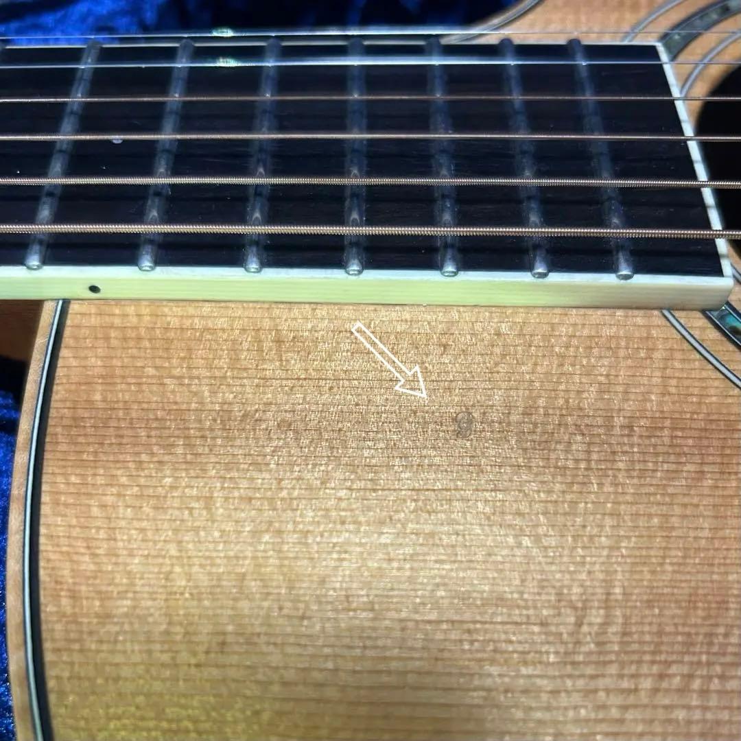 Larrivee OMV-09 美品 ラリビー製　Hケース付