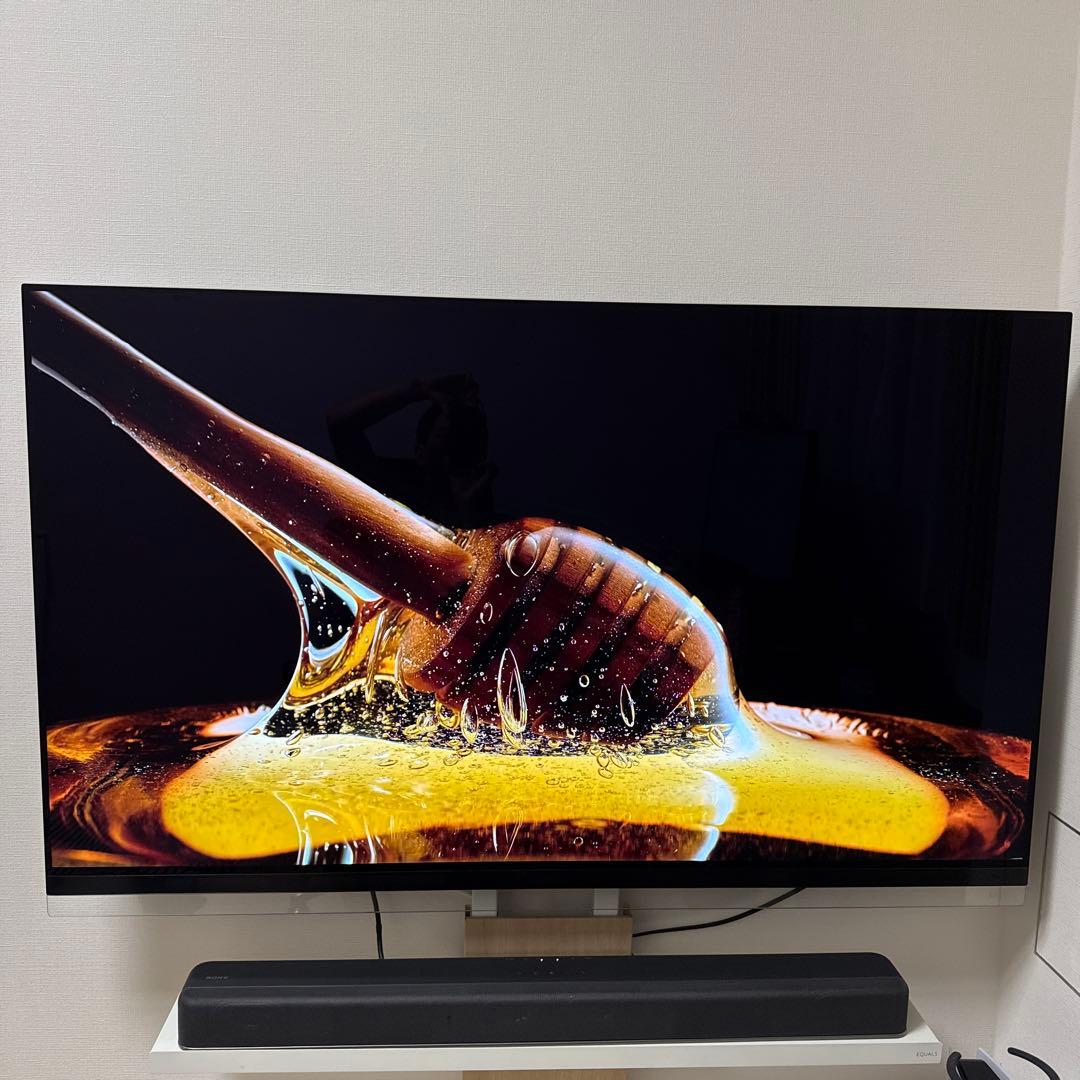 LG OLEDテレビ 55インチ OLED55E9PJA