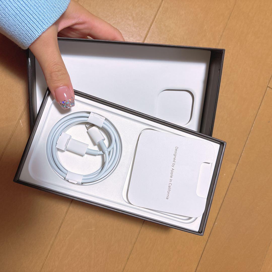 Apple iPhone 13 Pro ゴールド ケース付レンズカバー付箱等付き