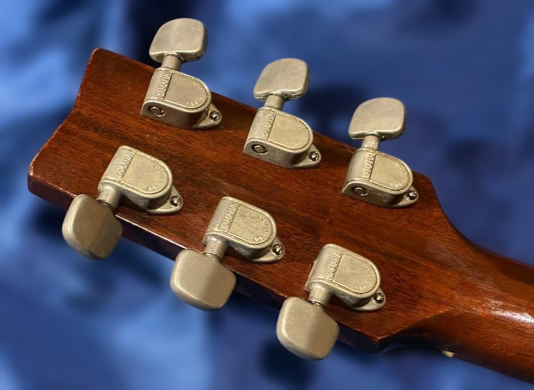 ランディ　超激鳴り　ヤマハ FG240 Gグリーンラベル　.試聴動画有