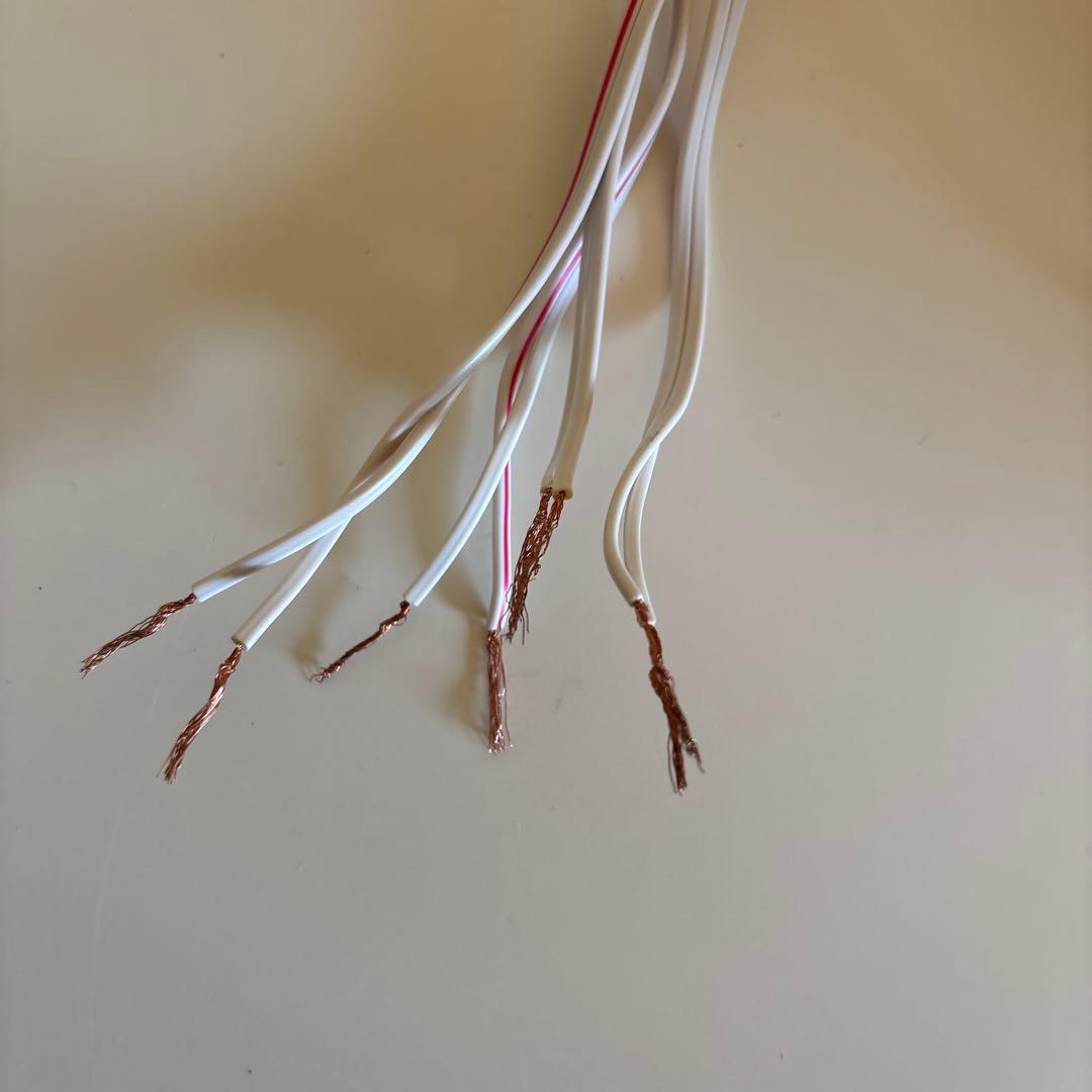 Fostex バックロードホーンBK40H /パーソナルアンプAP05